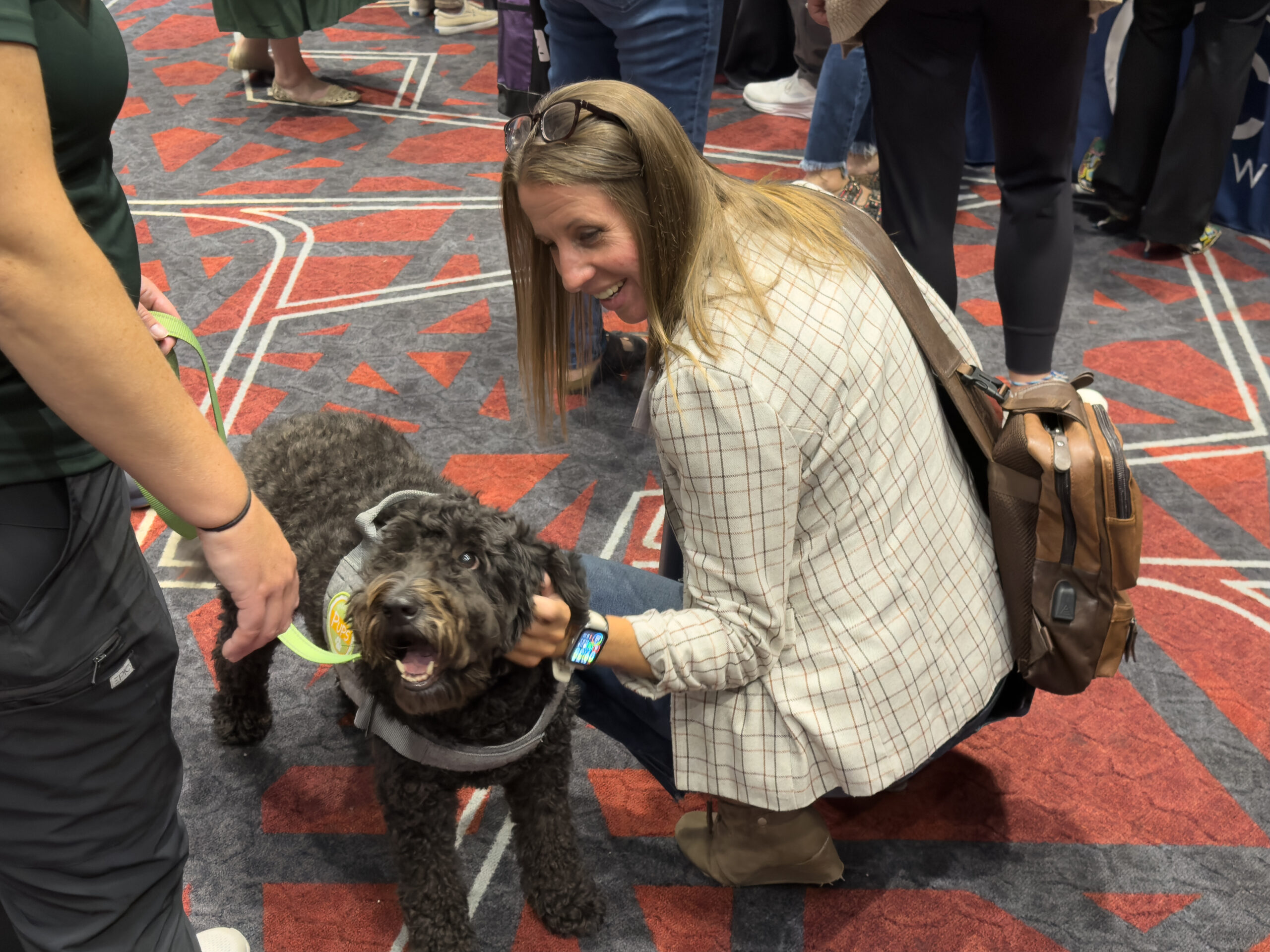 Therapy Dog Therapy Dog